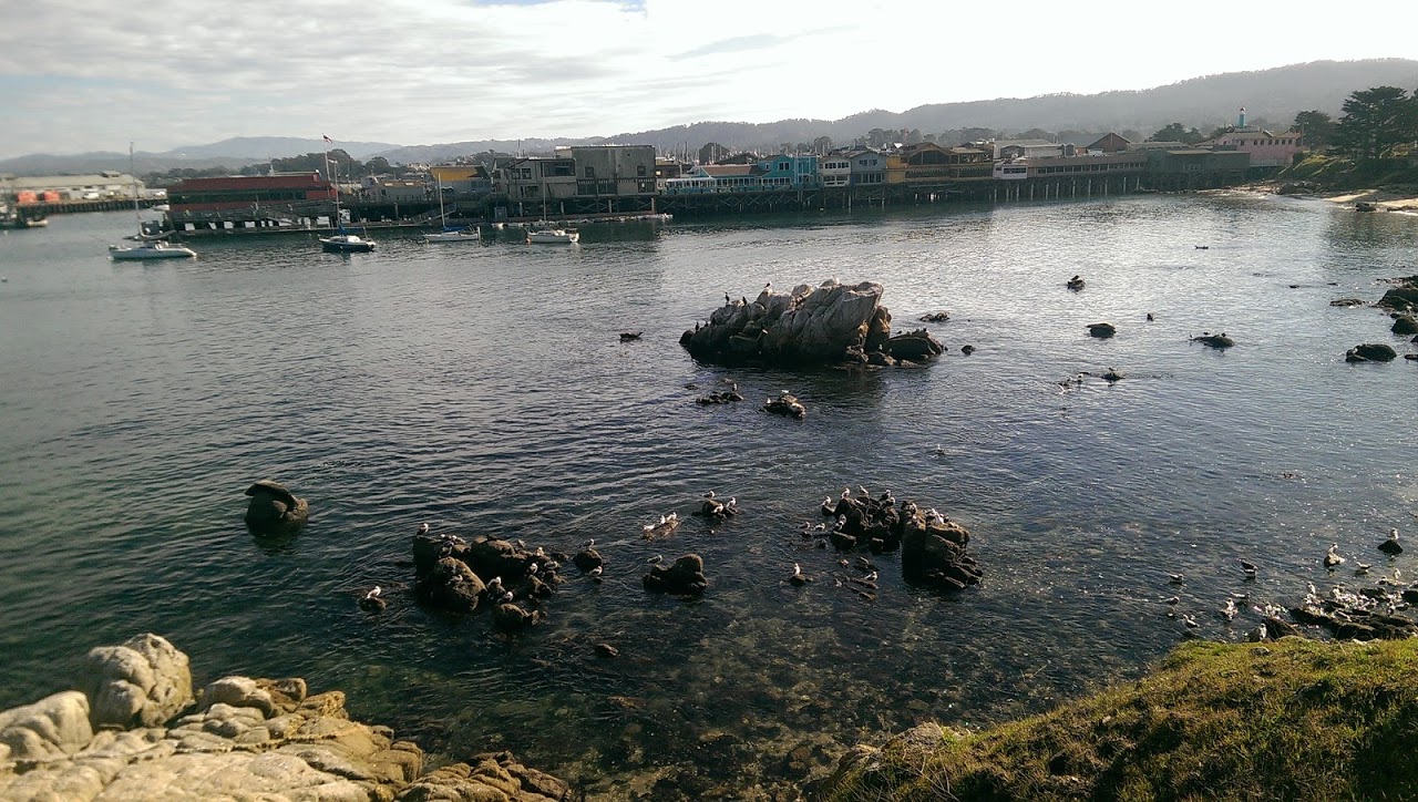 Monterey