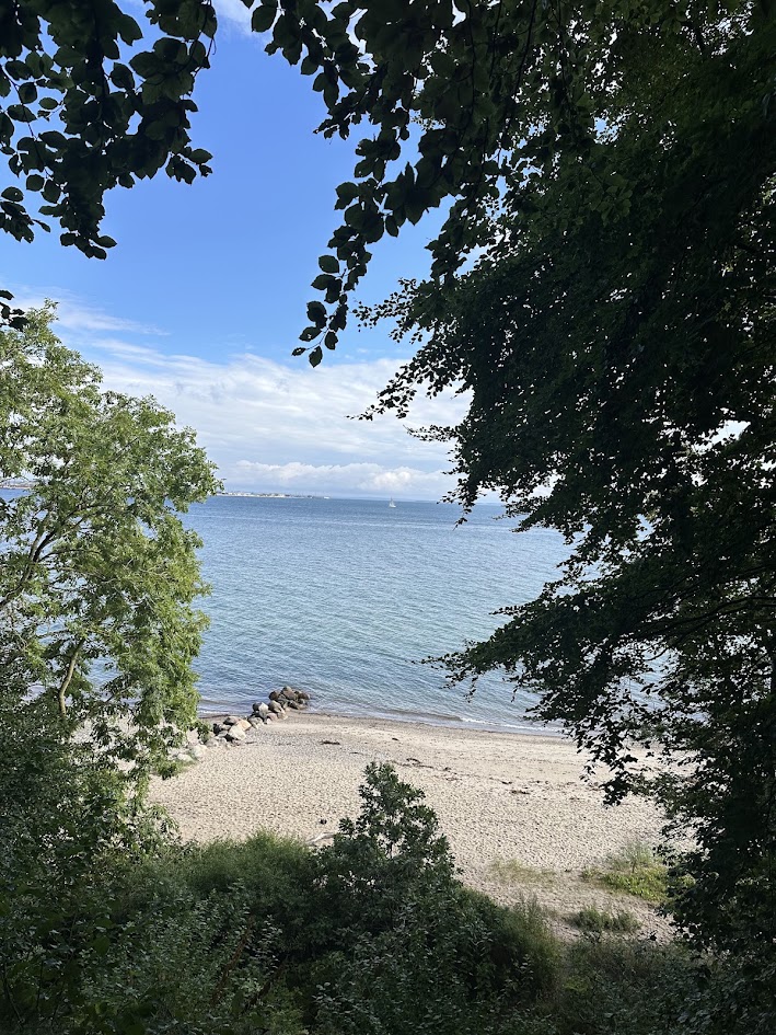 Aarhus coastline